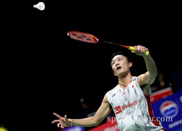 多耶的状态 多耶的状态